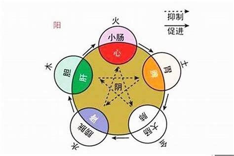 如何看五行屬性|如何查自己五行什么命 快速查自己的五行属性